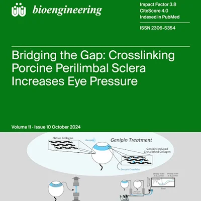 Bridging the Gap: Crosslinking Porcine Perilimbal Sclera Increases Eye Pressure